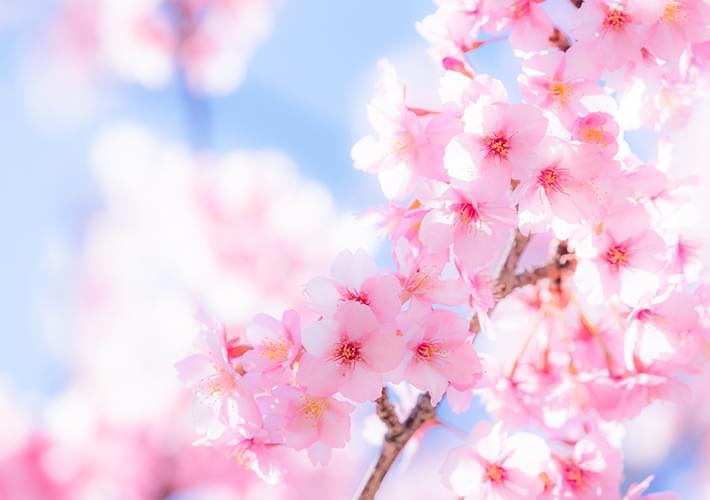 高校・大学受験に強い!NED練馬英語道場